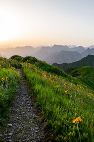 © Kleinwalsertal Tourismus eGen • Photographer: Erika Dürr