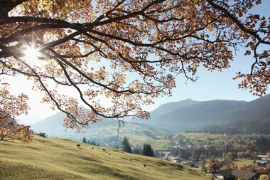 © Kleinwalsertal Tourismus eGen • Photographer: Frank Drechsel