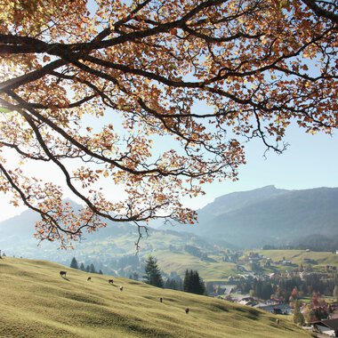 © Kleinwalsertal Tourismus eGen • Photographer: Frank Drechsel