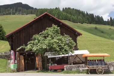 © Kleinwalsertal Tourismus eGen • Photographer: Frank Drechsel