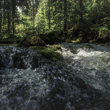 © Kleinwalsertal Tourismus eGen • Photographer: Oliver Farys