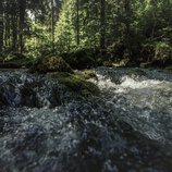 © Kleinwalsertal Tourismus eGen • Photographer: Oliver Farys