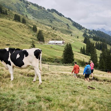 © Kleinwalsertal Tourismus eGen • Photographer: Oliver Farys