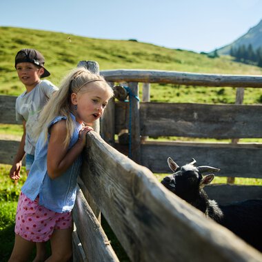 © Kleinwalsertal Tourismus eGen • Photographer: Oliver Farys