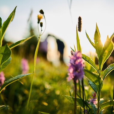 © Kleinwalsertal Tourismus eGen • Photographer: Oliver Farys