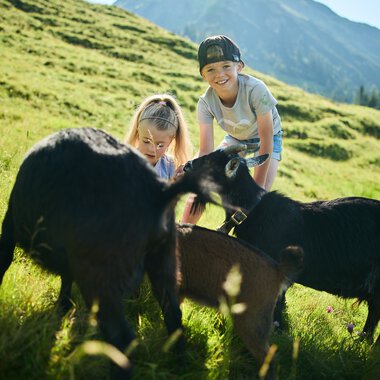 © Kleinwalsertal Tourismus eGen • Photographer: Oliver Farys