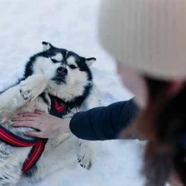 © Kleinwalsertal Tourismus eGen • Photographer: Oliver Farys
