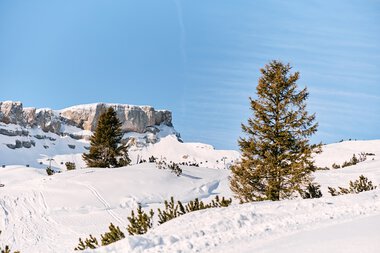 © Kleinwalsertal Tourismus eGen • Photographer: Oliver Farys
