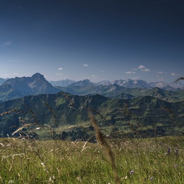 © Kleinwalsertal Tourismus eGen • Photographer: Robert Niederwolfsgruber