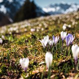 © Kleinwalsertal Tourismus eGen • Photographer: Robert Niederwolfsgruber