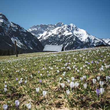 © Kleinwalsertal Tourismus eGen • Photographer: Robert Niederwolfsgruber