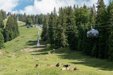 © Oberstdorf · Kleinwalsertal Bergbahnen