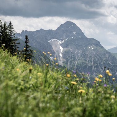© Kleinwalsertal Tourismus eGen • Photographer: Dominik Berchtold
