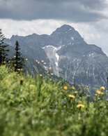 © Kleinwalsertal Tourismus eGen • Photographer: Dominik Berchtold