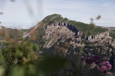 © Kleinwalsertal Tourismus eGen • Photographer: Oliver Farys