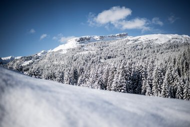 © Kleinwalsertal Tourismus eGen • Photographer: Dominik Berchtold