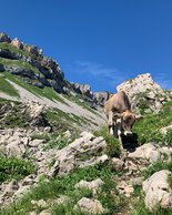 © Kleinwalsertal Tourismus eGen