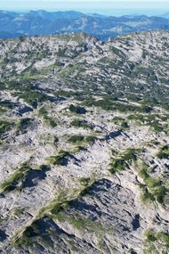 © Kleinwalsertal Tourismus eGen