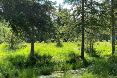 © Kleinwalsertal Tourismus eGen