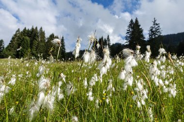© Kleinwalsertal Tourismus eGen