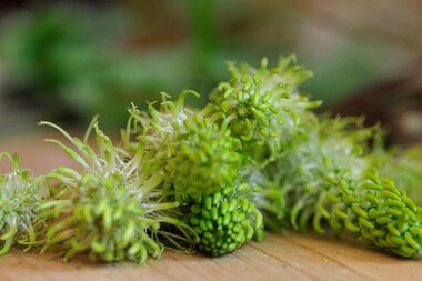 © Kleinwalsertal Tourismus eGen • Photographer: Christoffer Leitner