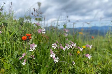 © Kleinwalsertal Tourismus eGen • Photographer: Jasmin Gabler