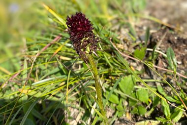 © Kleinwalsertal Tourismus eGen
