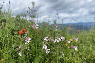 © Kleinwalsertal Tourismus eGen • Photographer: Jasmin Gabler