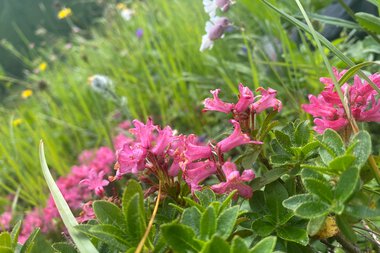 © Kleinwalsertal Tourismus eGen • Photographer: Jasmin Gabler