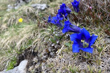 © Kleinwalsertal Tourismus eGen