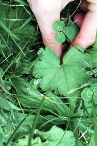 © Kleinwalsertal Tourismus eGen