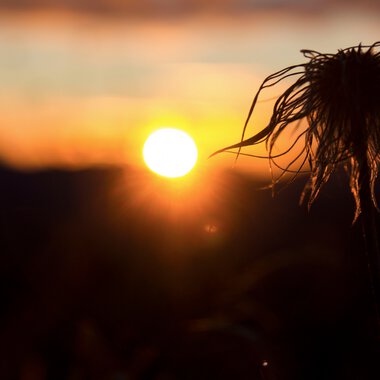 ©  Kleinwalsertal Tourismus eGen • Photographer: Lukas Rinner