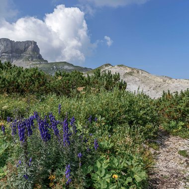 ©  Kleinwalsertal Tourismus eGen • Photographer: Steffen Berschin