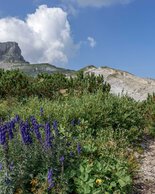 ©  Kleinwalsertal Tourismus eGen • Photographer: Steffen Berschin