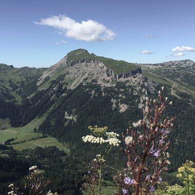 © Kleinwalsertal Tourismus eGen