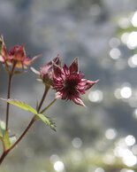 © Kleinwalsertal Tourismus eGen