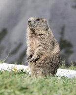 © Kleinwalsertal Tourismus eGen • Photographer: Frank Drechsel