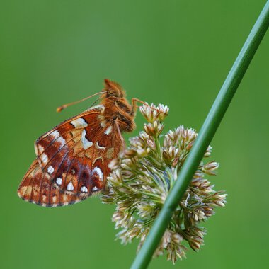 © Kleinwalsertal Tourismus eGen • Photographer: Petra Schattanek