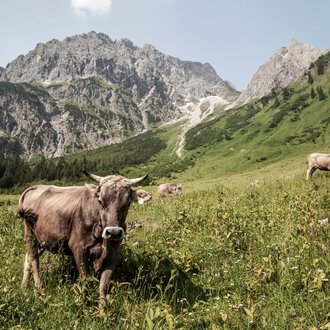 © Kleinwalsertal Tourismus eGen • Photographer: Frank Drechsel