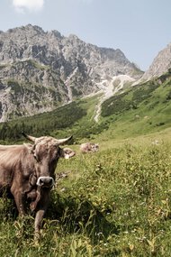 © Kleinwalsertal Tourismus eGen • Photographer: Frank Drechsel