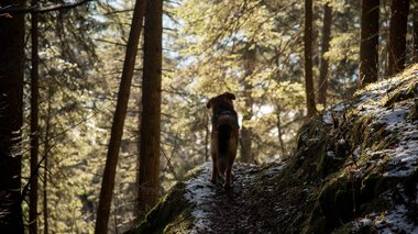 © Kleinwalsertal Tourismus eGen • Photographer: Lukas Rinner
