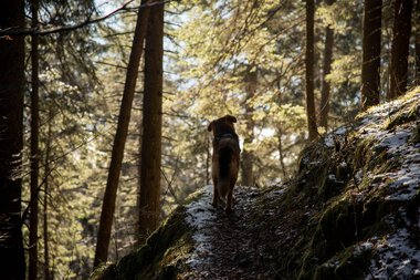 © Kleinwalsertal Tourismus eGen • Photographer: Lukas Rinner