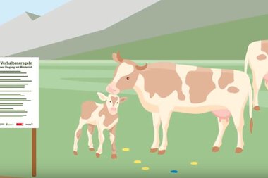 © Kleinwalsertal Tourismus eGen • Bundesministerium für Nachhaltigkeit und Tourismus