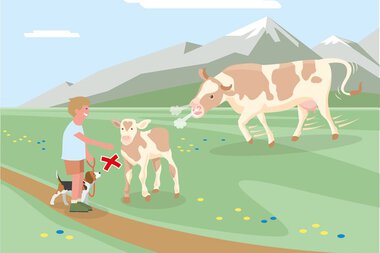 © Kleinwalsertal Tourismus eGen • Bundesministerium für Nachhaltigkeit und Tourismus