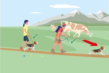 © Kleinwalsertal Tourismus eGen • Bundesministerium für Nachhaltigkeit und Tourismus