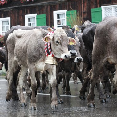 © Kleinwalsertal Tourismus eGen • Photographer: Frank Drechsel